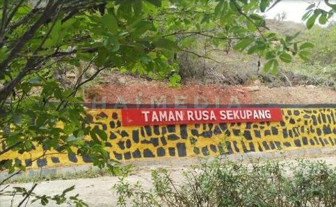  Bingung Wisata Kemana? Yuk ke Taman Rusa Aja, Ada Nomadic Community Fiesta