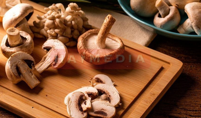  Jamur Shiitake Tingkatkan Kekebalan Tubuh dan Cegah Kanker