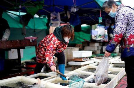 Pasar Basah di Wuhan, diduga tempat merebaknya virus Corona | Foto : Ist