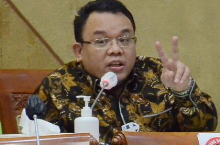 Anggota Komisi IX DPR RI, Saleh Partaonan Daulay.