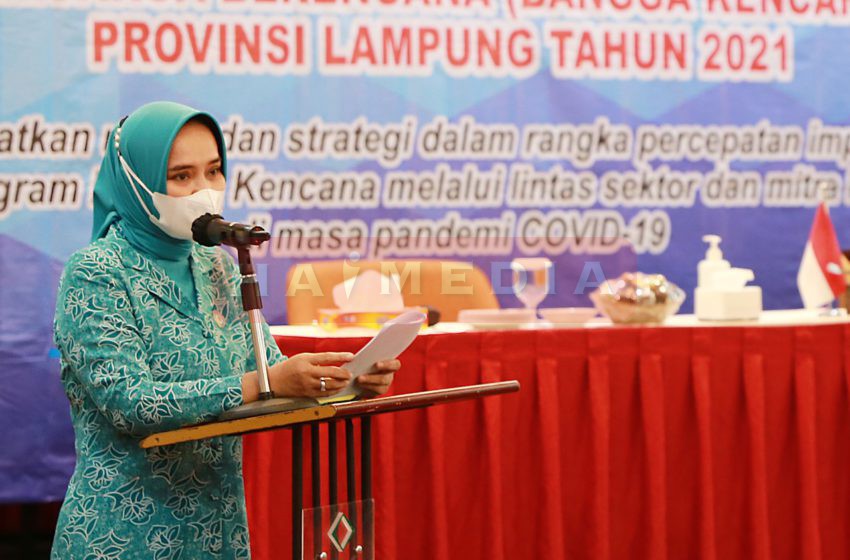 Ketua Tim Penggerak PKK Provinsi Lampung Ibu Riana Sari Arinal