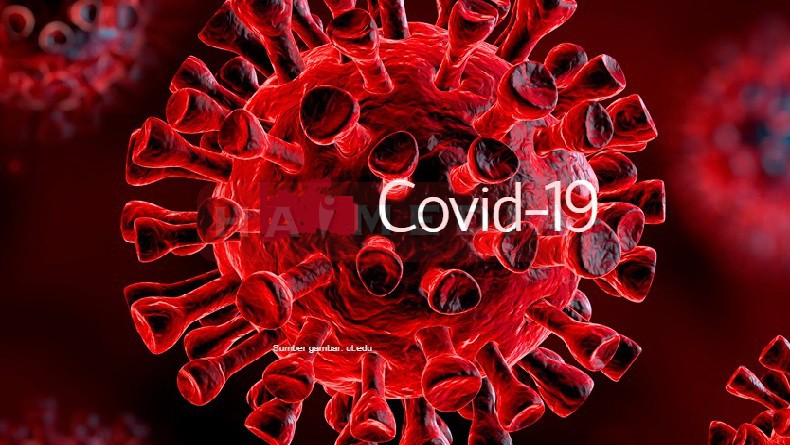  Jumlah Pasien Covid-19 yang Sembuh Telah Mencapai Angka 1 Juta