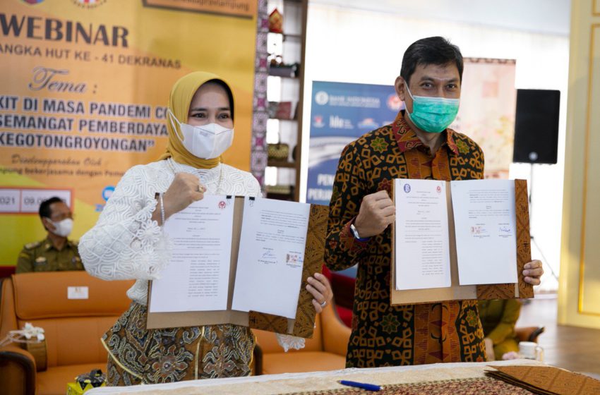 Ketua Dewan Kerajinan Nasional Daerah (Dekranasda) Lampung Ibu Riana Sari Arinal