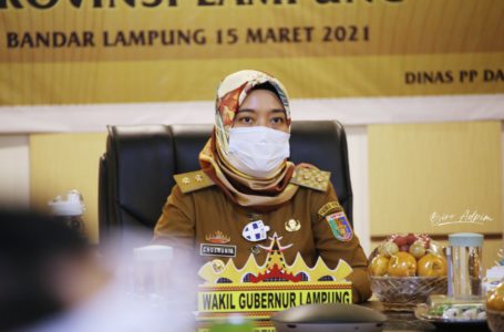 Wakil Gubernur Lampung, Chusnunia Chalim