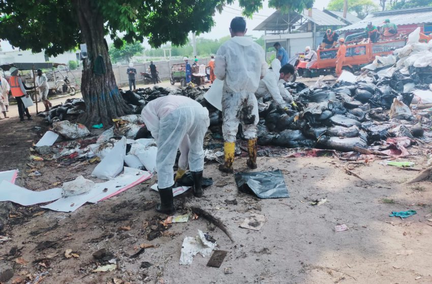 Babinsa Koramil 04/KS, Kodim 0502/JU, Sertu Andri Hermawan bersama Tri Pilar melakukan pemantauan dan pengawasan terhadap kegiatan pembersihan pek/limbah minyak disepanjang pesisir pantai pulau untung Jawa, Kepulauan Seribu Selatan, Jumat (30/04/21).