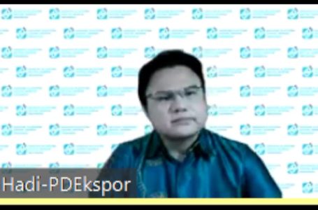 Ketua umum Asosiasi Platform Digital Ekspor Indonesia (APDEI) sekaligus CEO PT Solusi Ekosistem Global (IDNStore) Hadi Lee | Foto: Ist