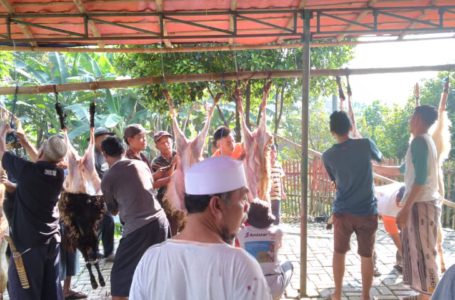 Di Masjid Al Hidayah, Cipelang, Bogor tempat pemotongan hewan Qurban ada 10 ekor kambing yang dipotong.  