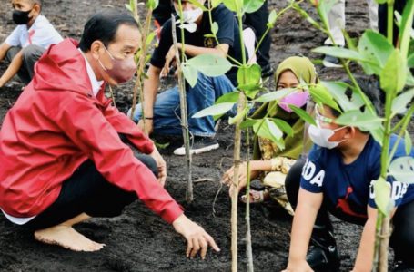 Presiden Joko Widodo saat menanam pohon mangrove bersama masyarakat di Pantai Setokok, Kecamatan Bulang, Kota Batam, Provinsi Kepulauan Riau, Selasa (28/09/2021).
